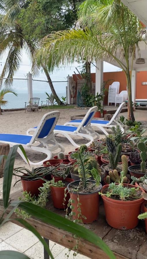 Casa Greca Hotel Playa Blanca  Exterior photo